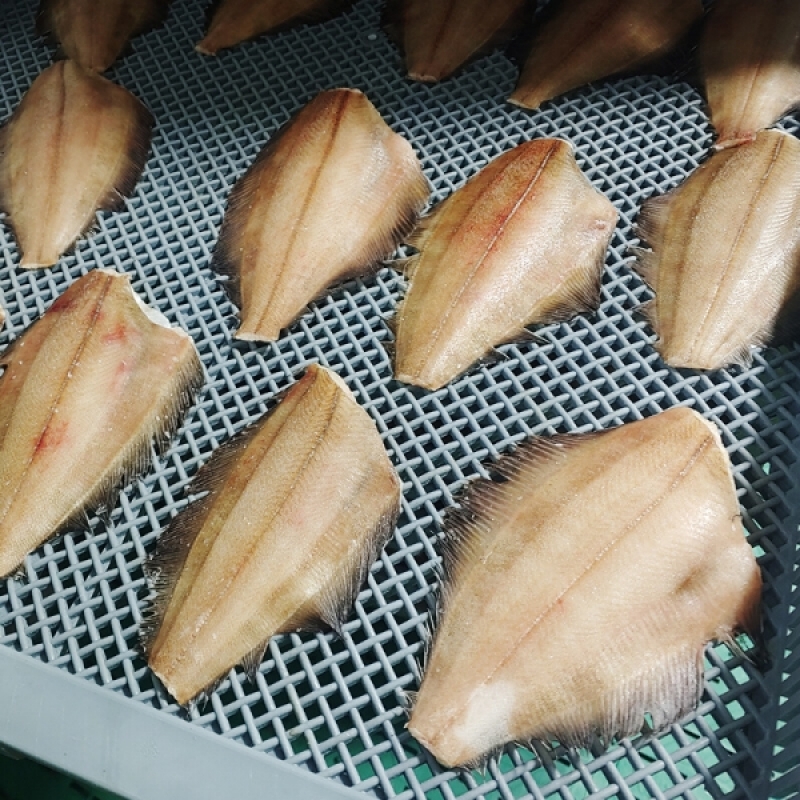 양양클라스,양양클라쓰 자연산 급속냉동 물가자미(가자미) 5마리