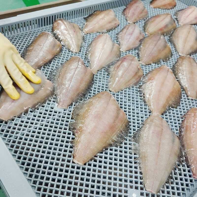 양양클라스,양양클라쓰 자연산 급속냉동 물가자미(가자미) 5마리