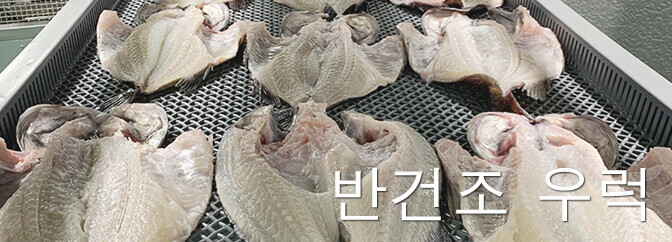 반건조 우럭(냉동)